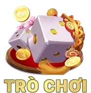 Đội ngũ chuyên nghiệp
